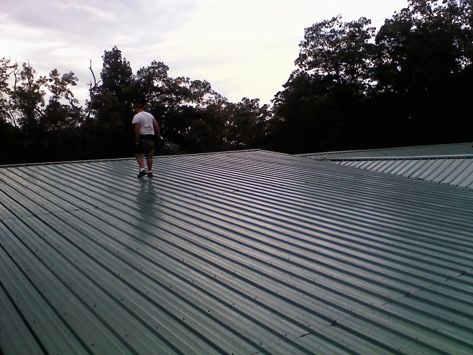 Roofer walking a wide expanse of new green metal roofing in Pingree