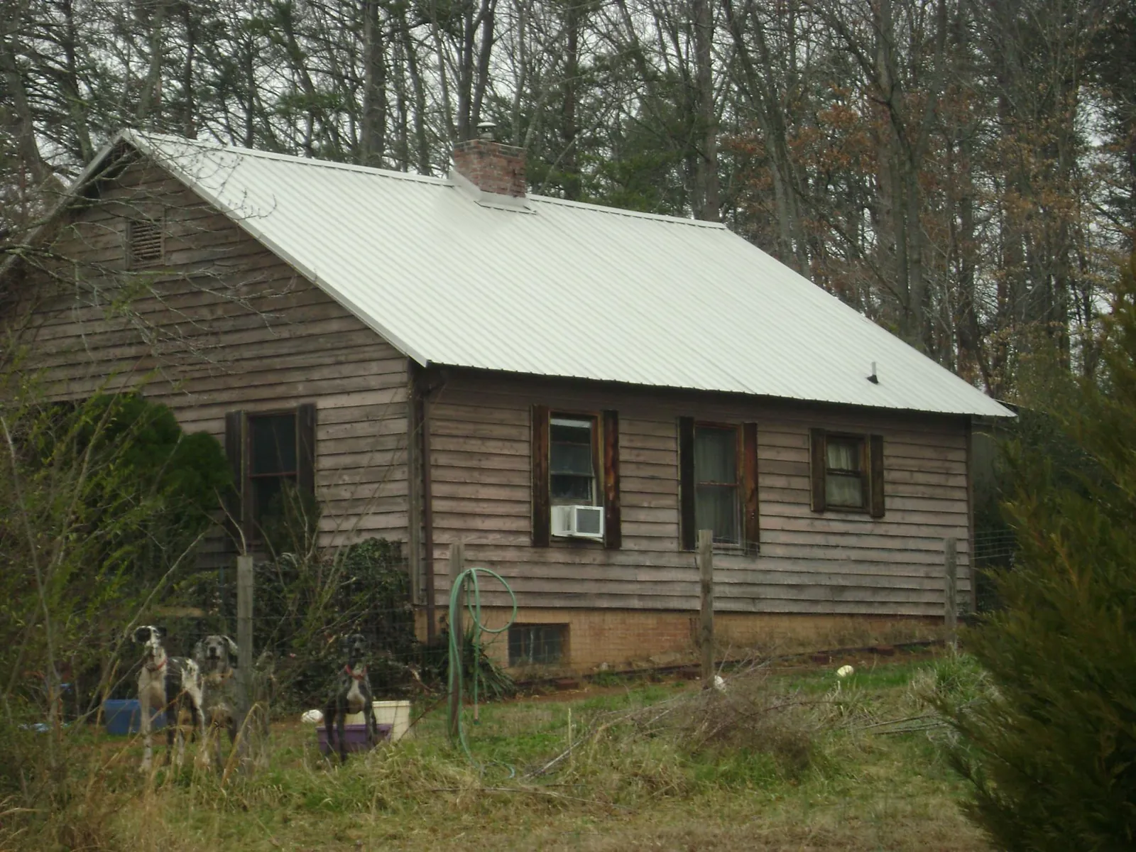 White metal roof on an old wood sided farmhouse, from a Metal Roof Installation job in Pingree